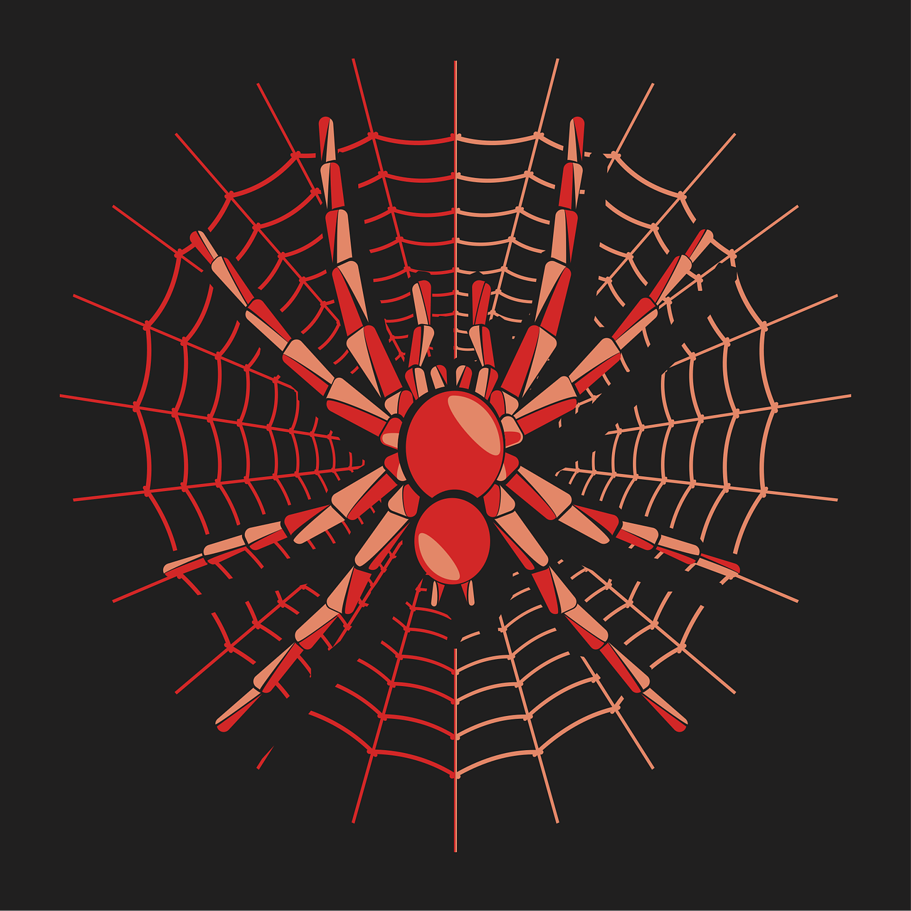 Spider Man Shirts